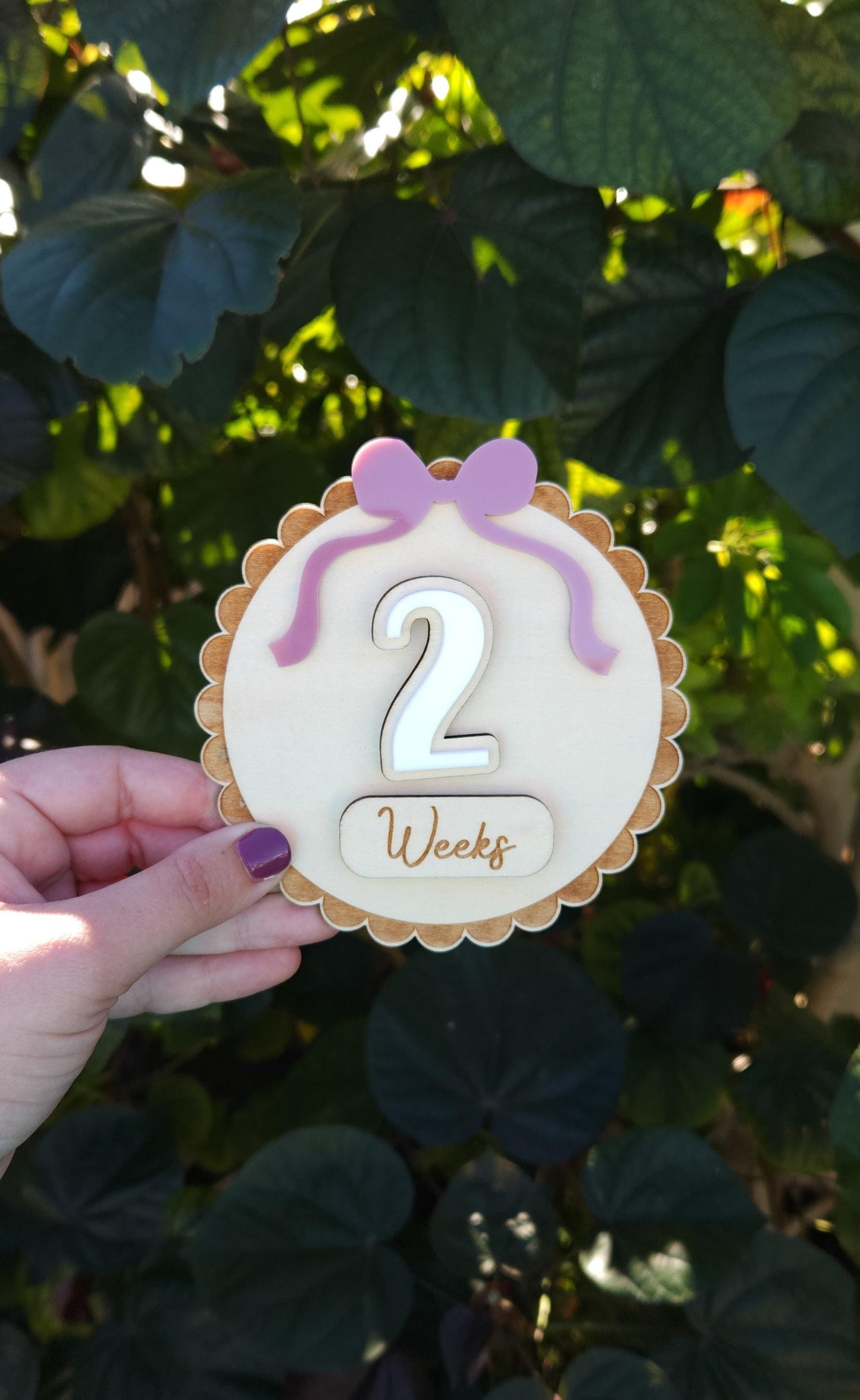 Baby Milestone Interchangeable Circle Bow