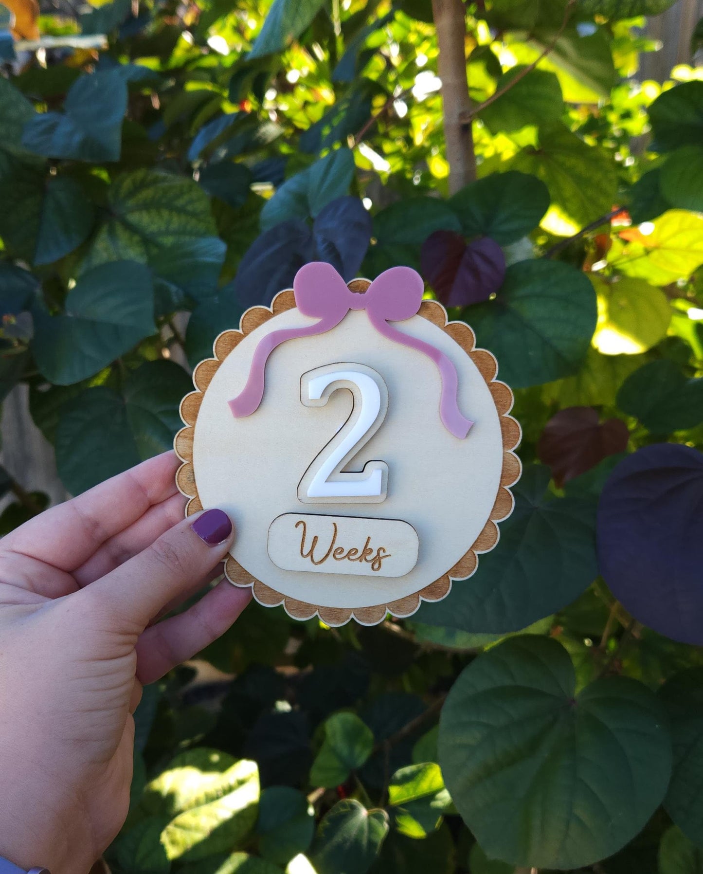 Baby Milestone Interchangeable Circle Bow