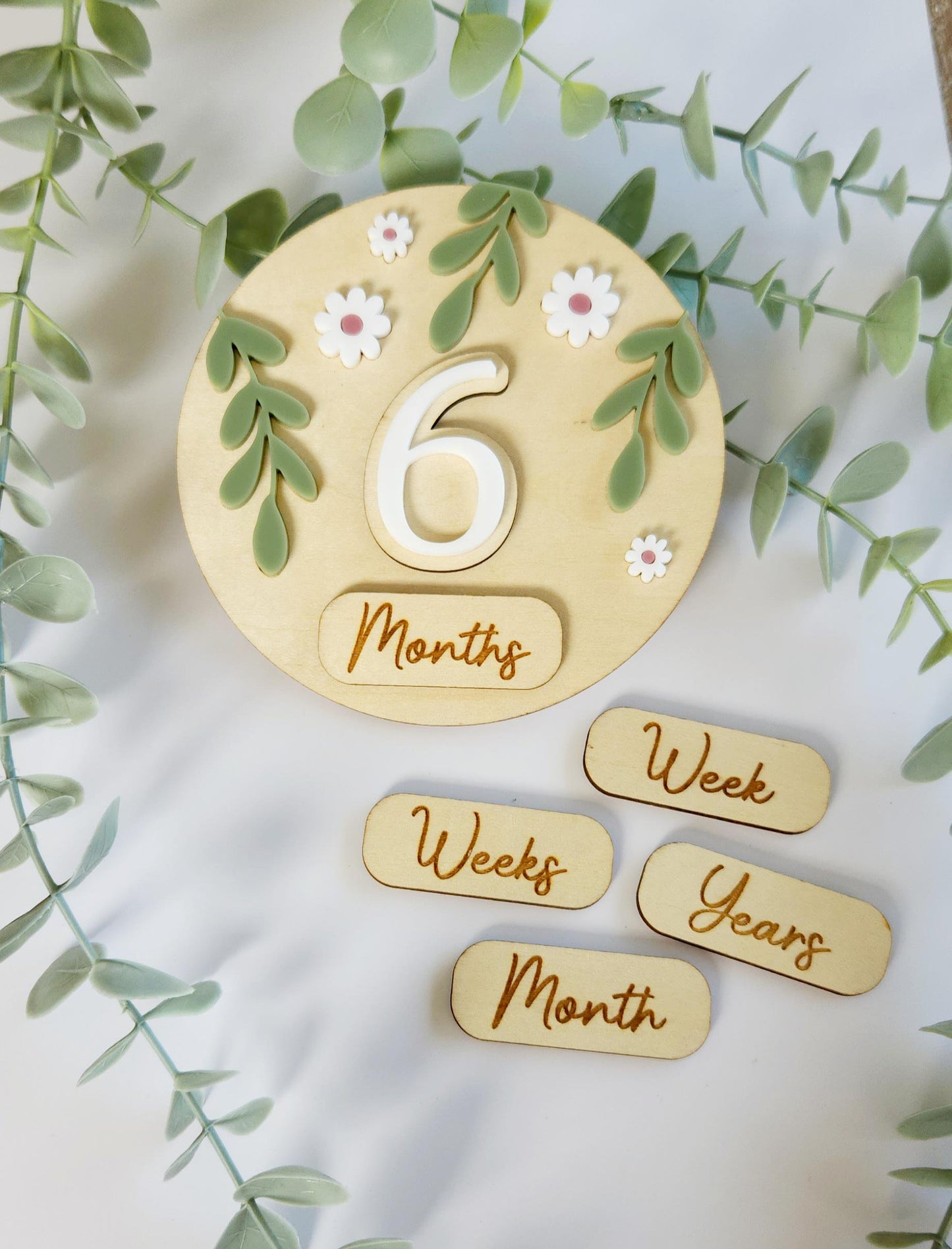 Baby Milestone Interchangeable Circle Flowers
