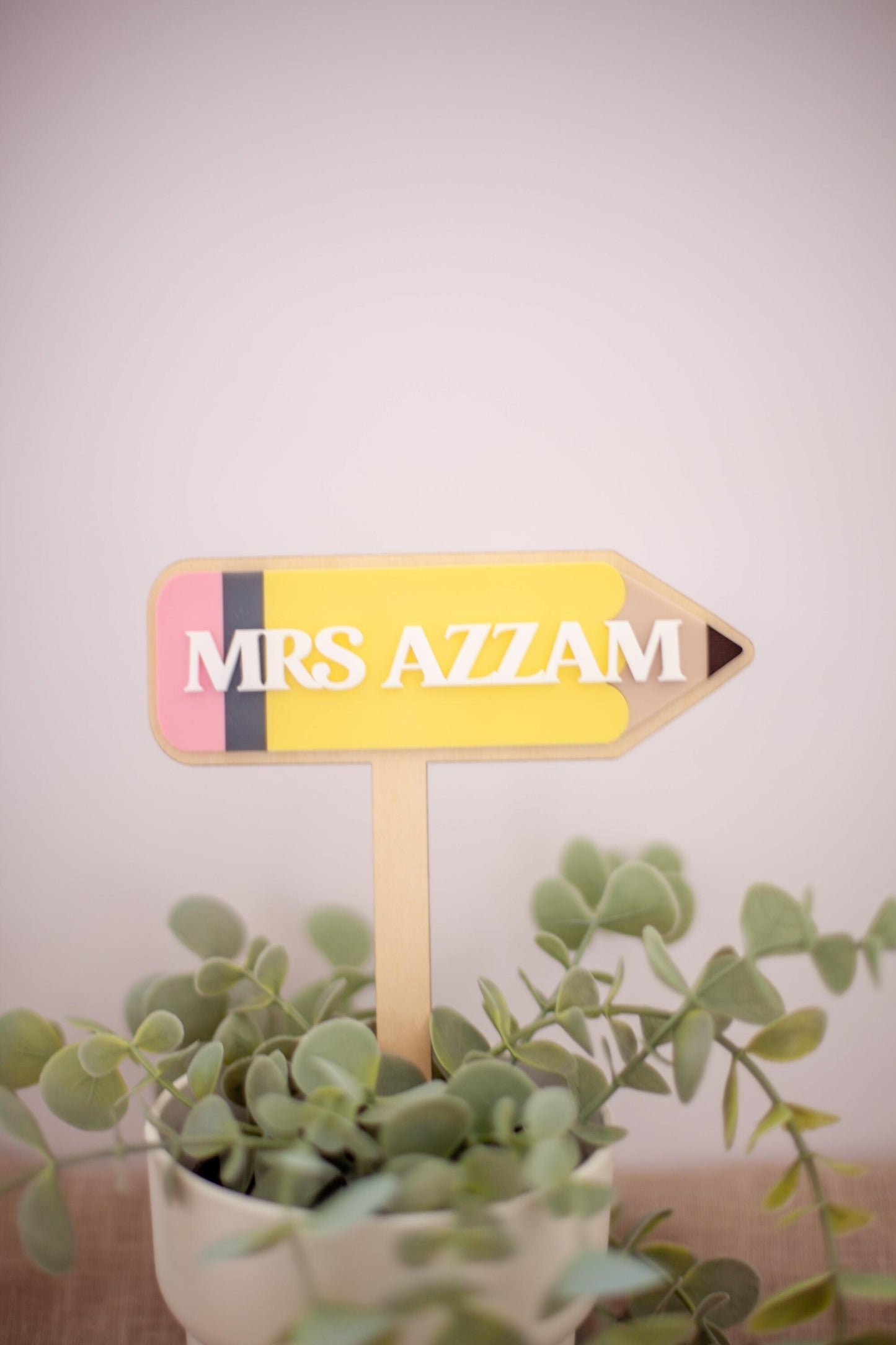 Teacher Personalised Plant Stake