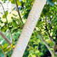 Personalised Ruler 30cm