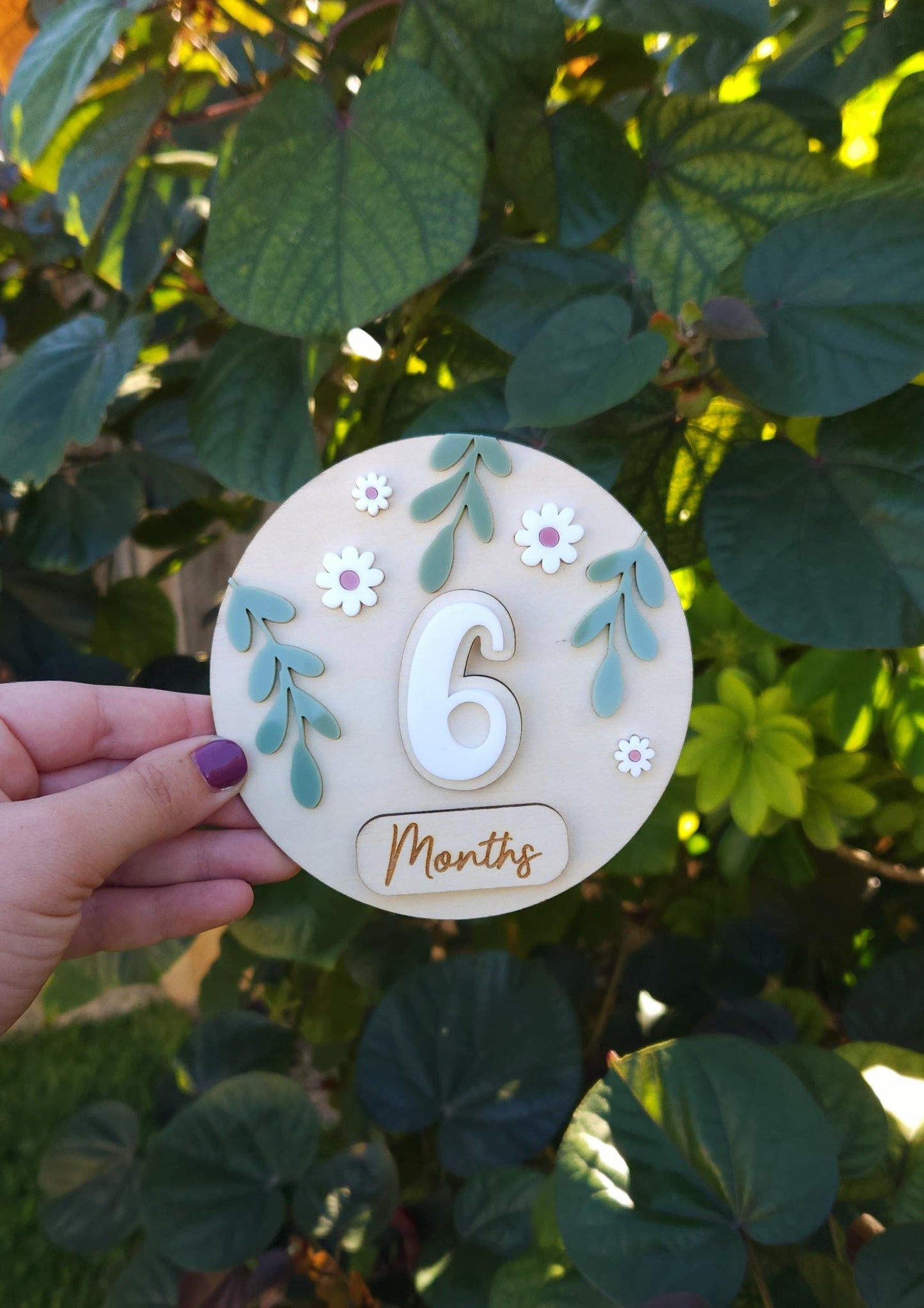 Baby Milestone Interchangeable Circle Flowers