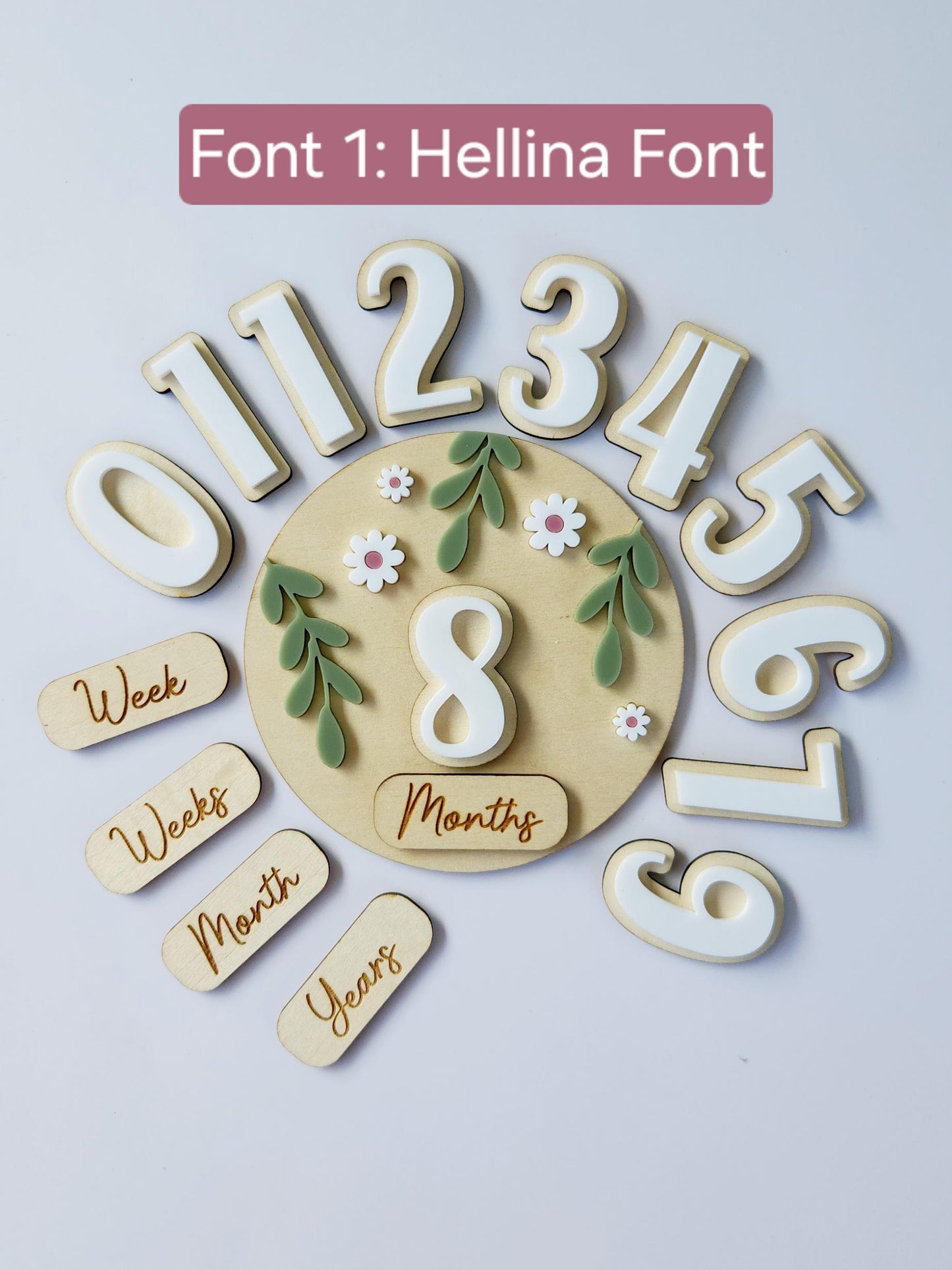 Baby Milestone Interchangeable Circle Flowers