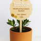 Personalised Plant Stake - Teacher Gift