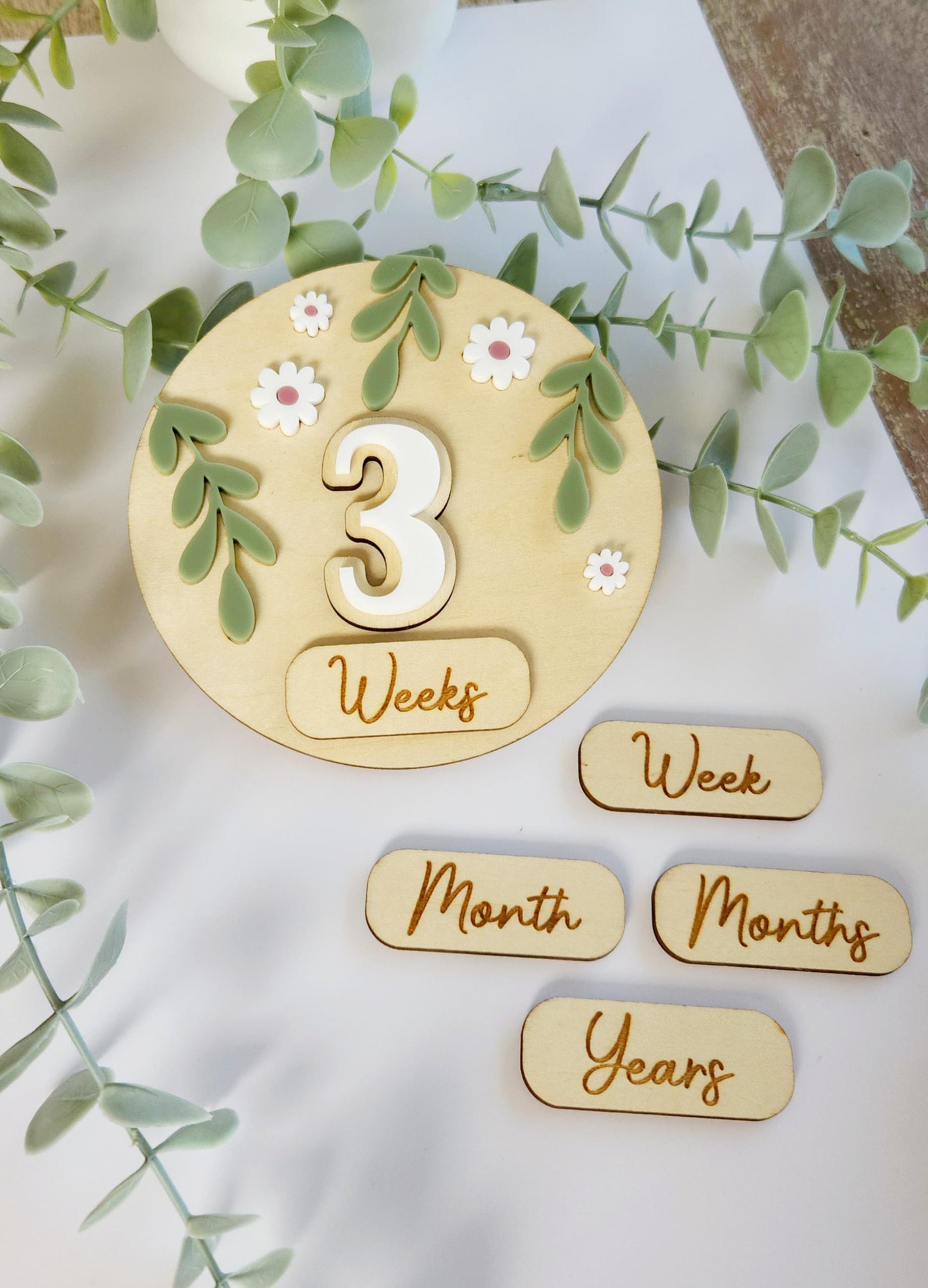 Baby Milestone Interchangeable Circle Flowers