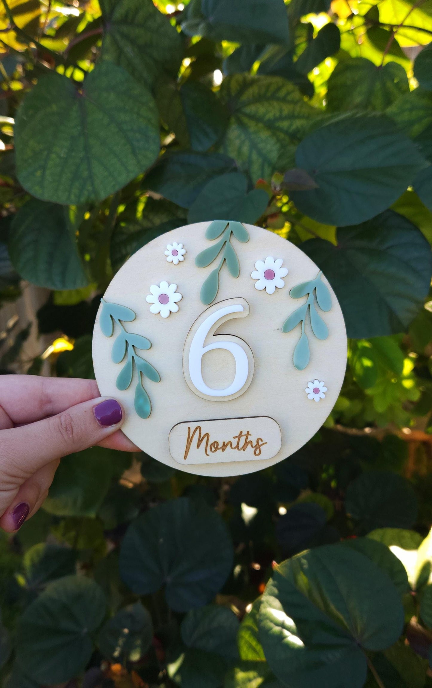 Baby Milestone Interchangeable Circle Flowers