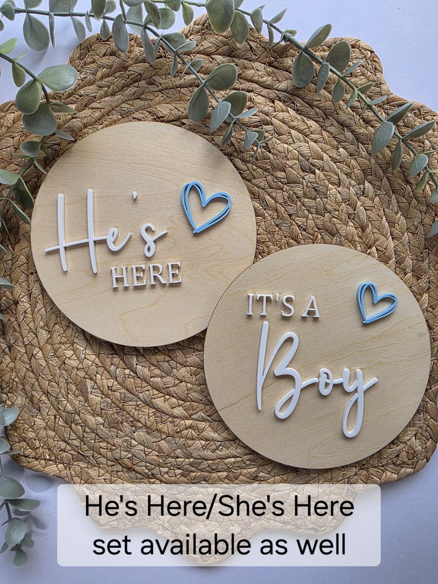 Reversable or Single Sided It's a Boy/Girl Circle Gender Announcement